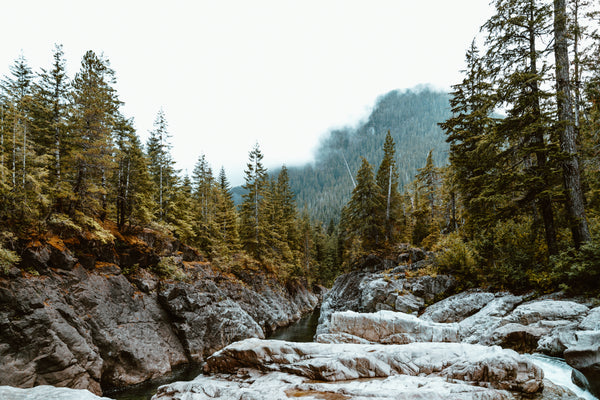Inspirations Around 